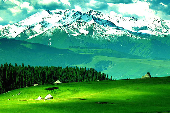 新疆自治区伊犁州喀拉峻景区