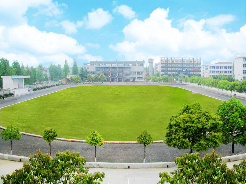  p> a target="_blank" href="/item/澧县六中/10689834" data-lemma