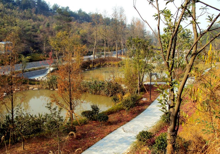 临清龙山森林公园