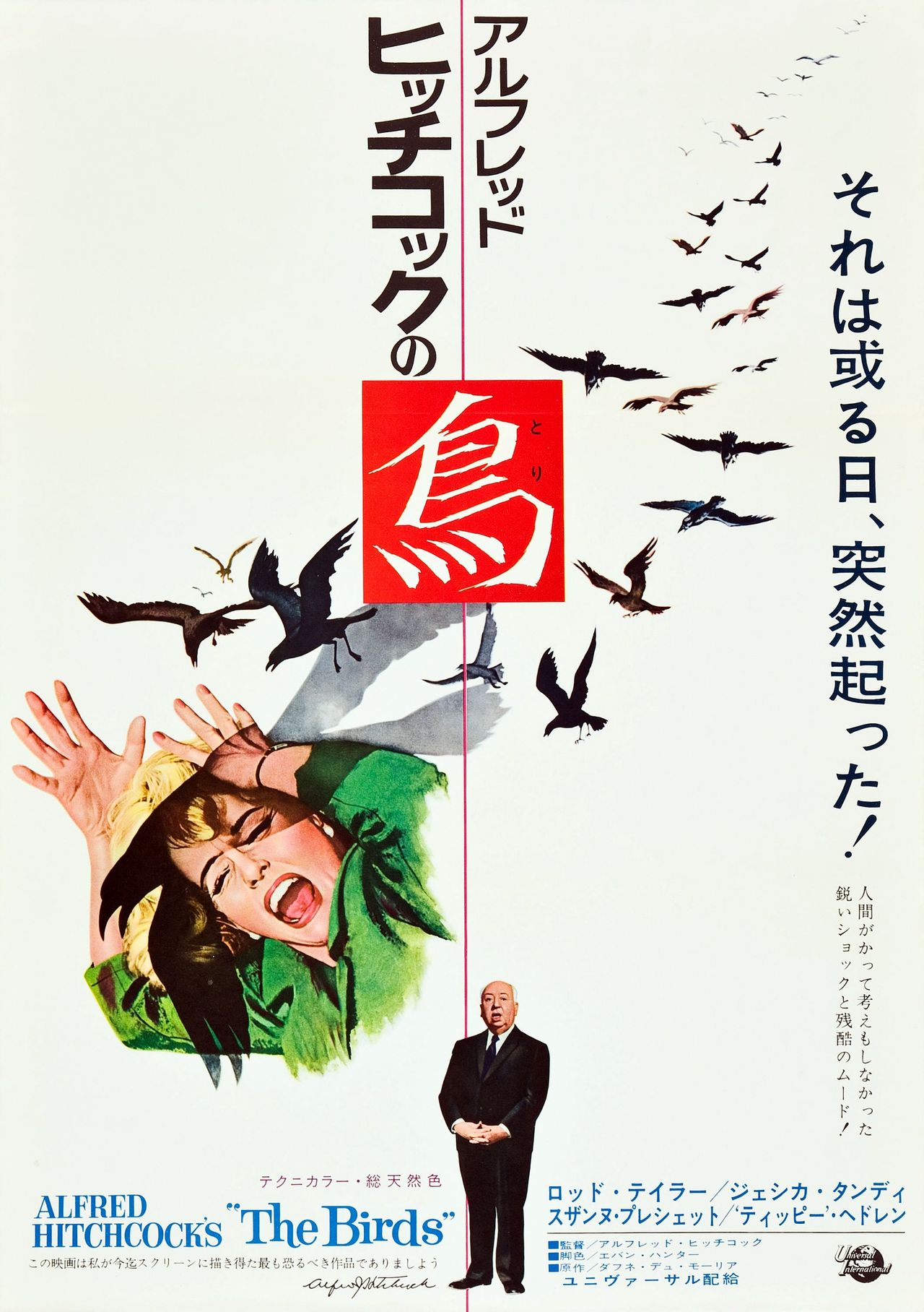 群鸟thebirds(1963)