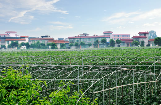  p>杜楼镇,安徽 a target="_blank" href="/item/萧县">萧县 /a>辖镇