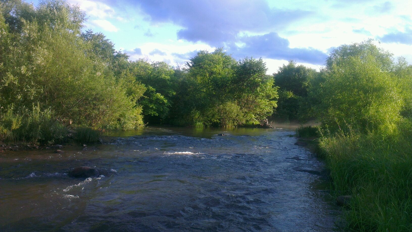 亮子河森林公园