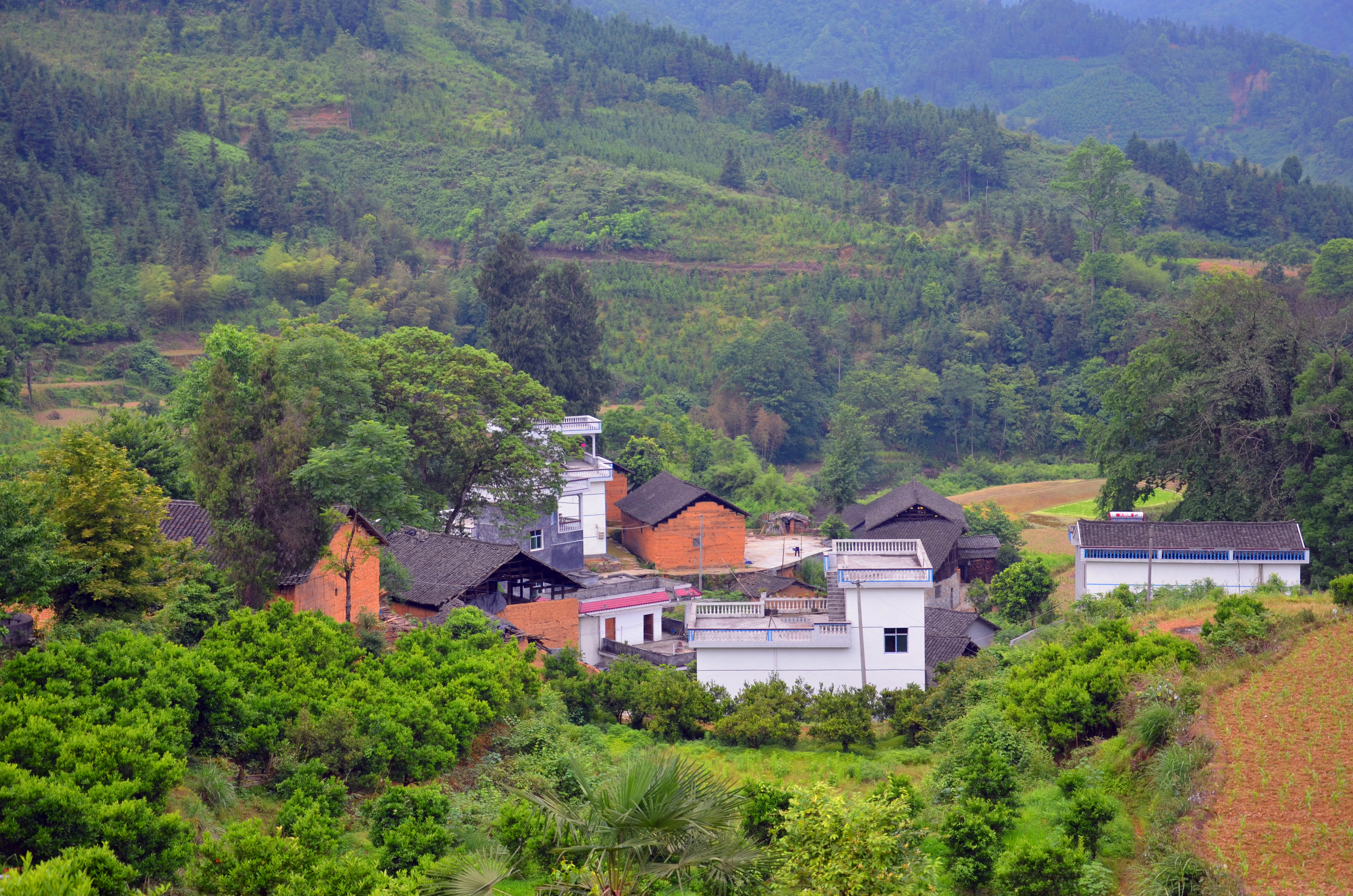 凤凰县水打田乡