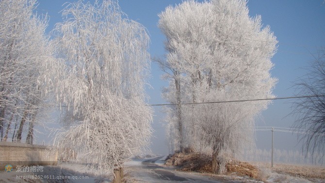肇州县杏山中学
