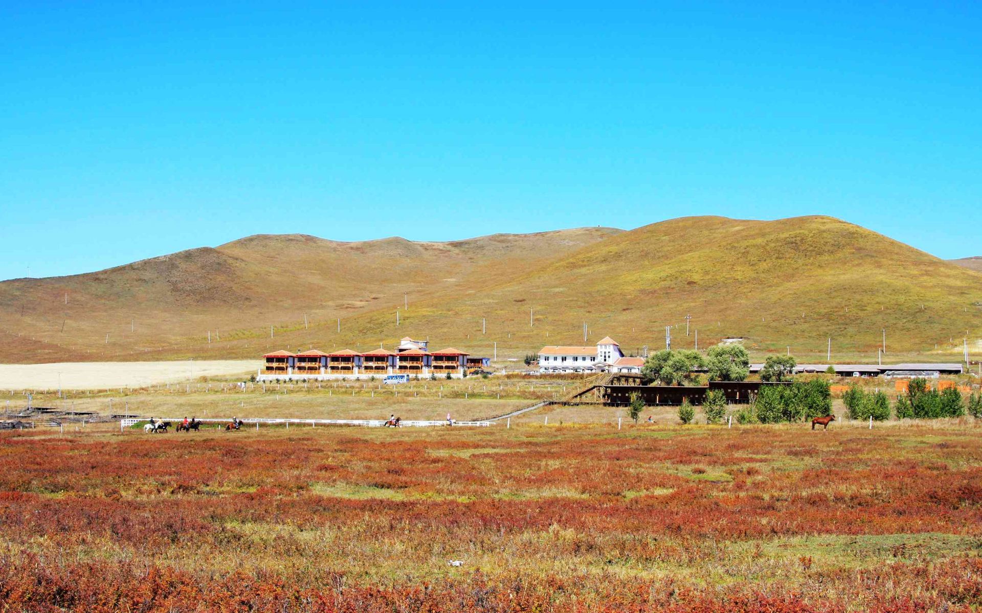 坝上草原木兰围场