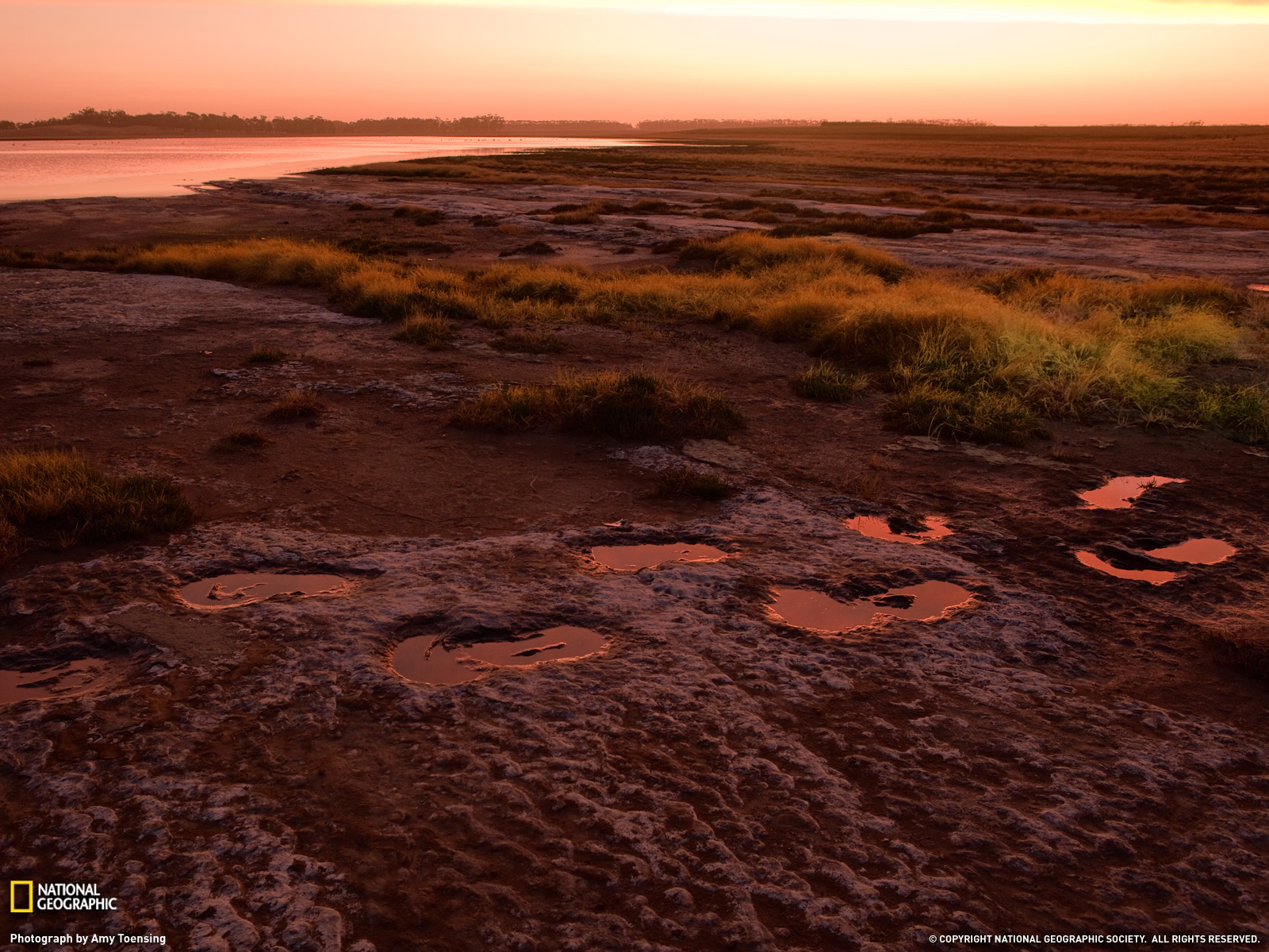  p data-id="gn5py7dozj">已绝灭的有袋兽类