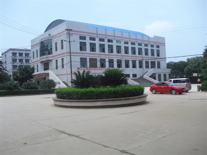  p> a href="#" data-lemmaid="15767954">益阳市十六中 /a>雄居古镇