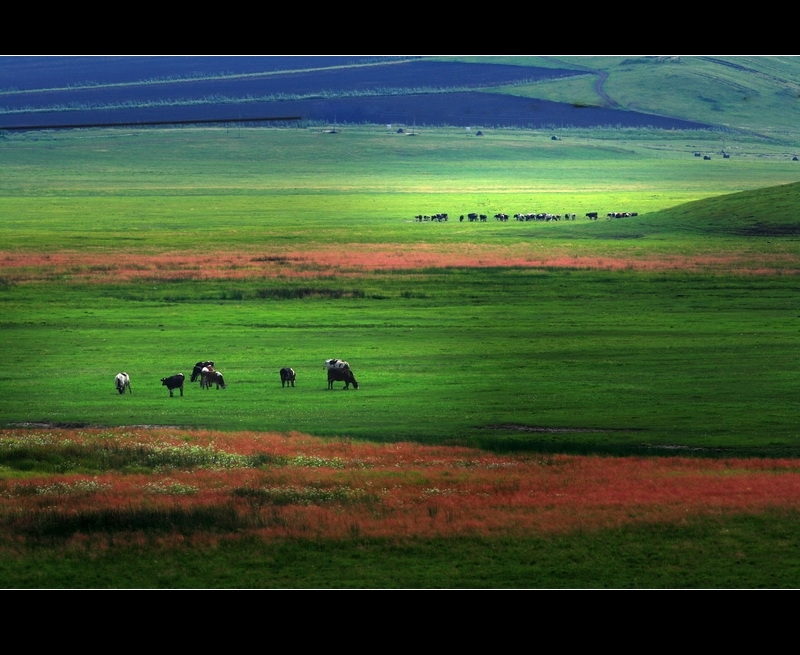 data-lemmaid="1932950">三大平原 /a>之一,中国人口最