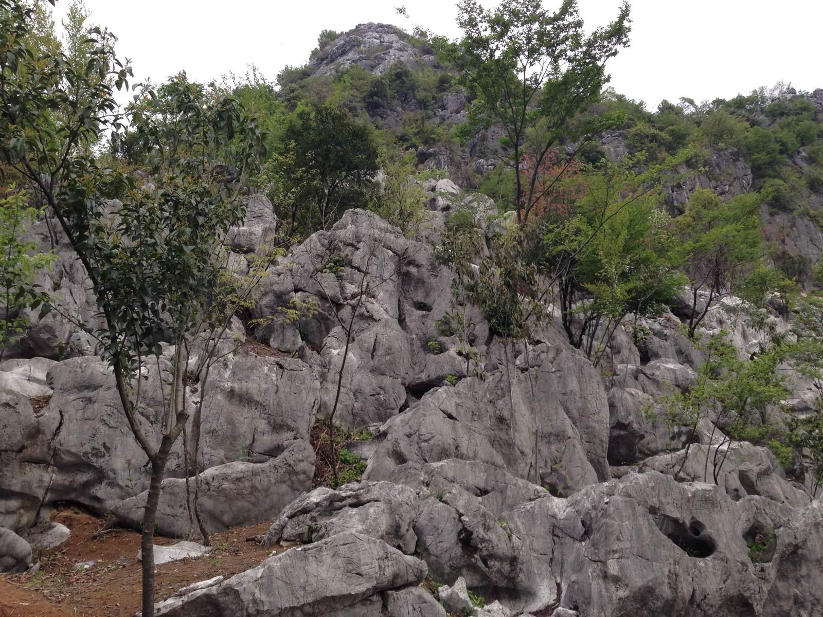  p>三衢石林风景区位于中国 a href="#" data-lemmaid="10624465">