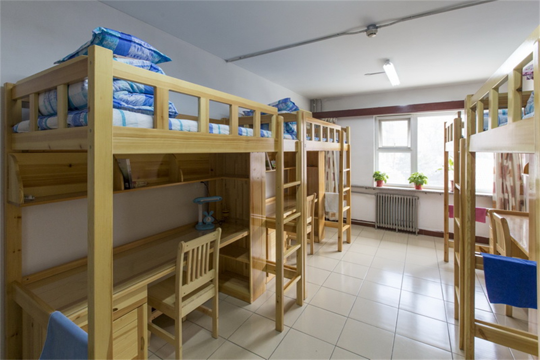 北京育英学校小学部