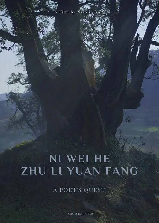 你为何伫立远方_百度百科