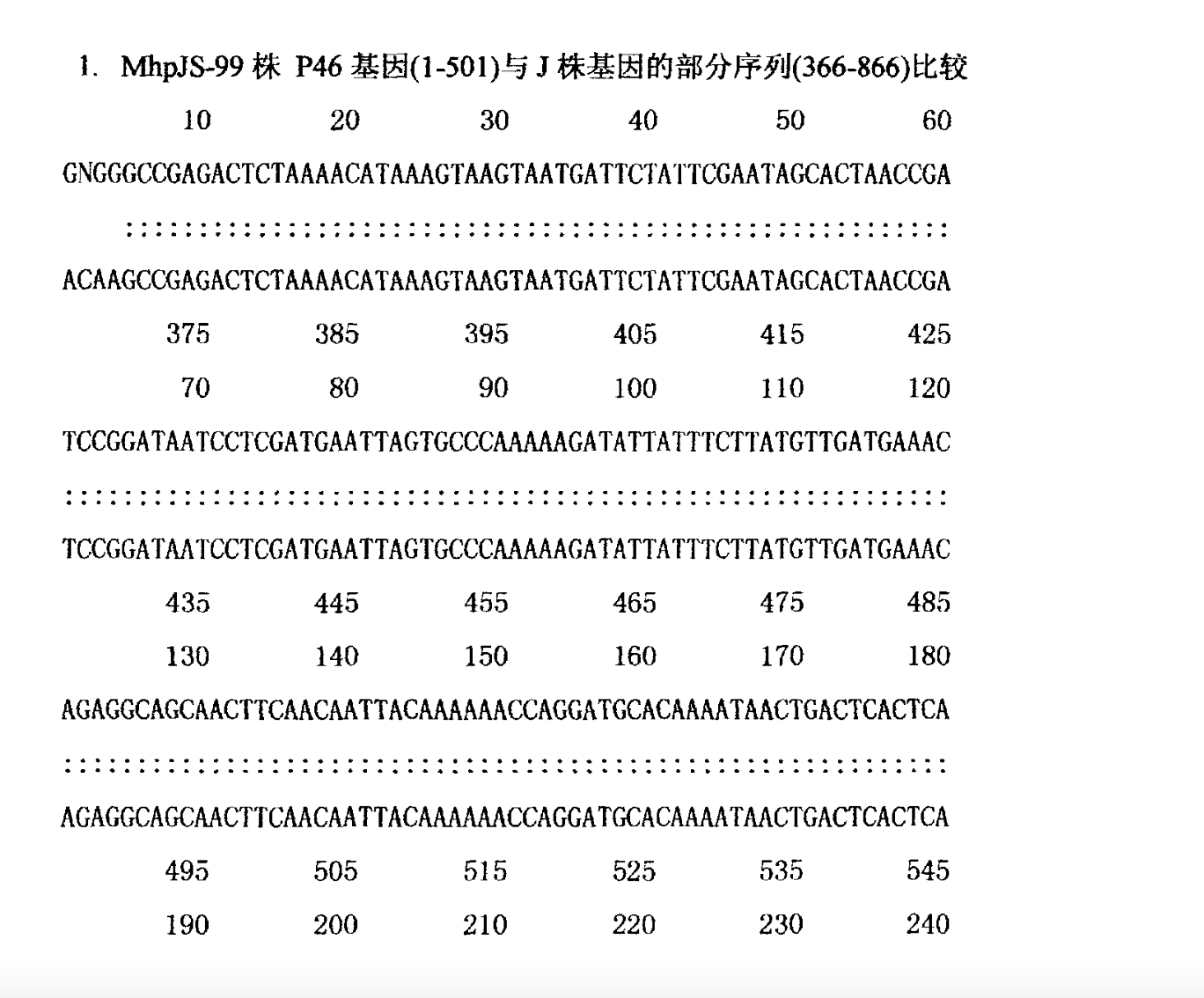 猪肺炎支原体克隆致弱株