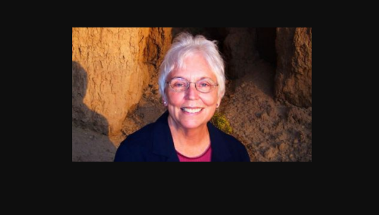 Nancy Holt_百度百科
