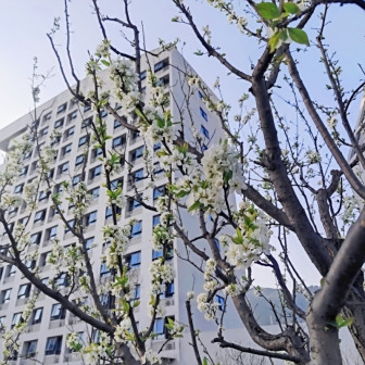 宜宾校区