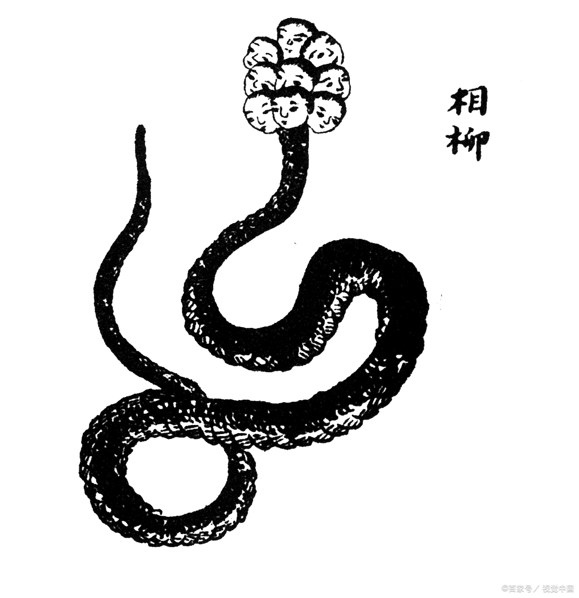 你觉得这个世界上有“龙”吗？从《山海经》中烛龙说起_百科TA说