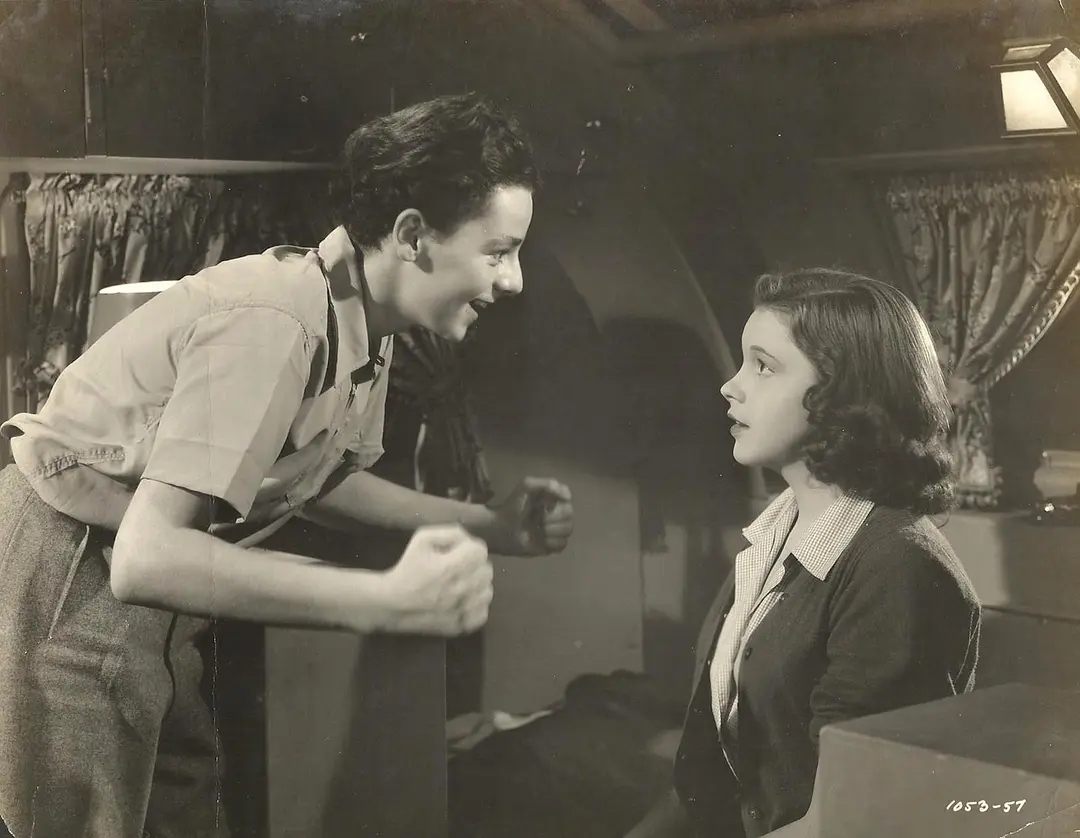 费雷迪 全网资源