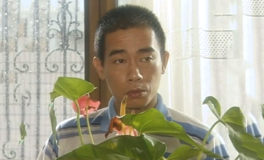 何凡（《有情有义》中父母被害后立志复仇的香港商人次子）_百度百科