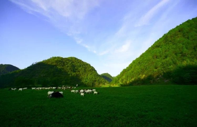  p>农坝镇,隶属于重庆市云阳县,地处 a target="_blank" href="/item