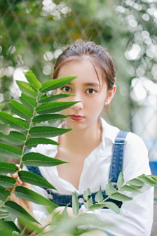 陈姝君
