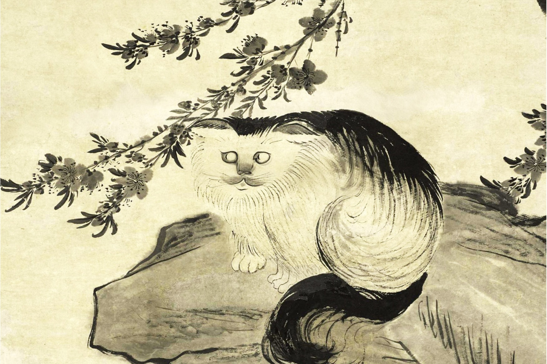 清汪士慎猫图轴