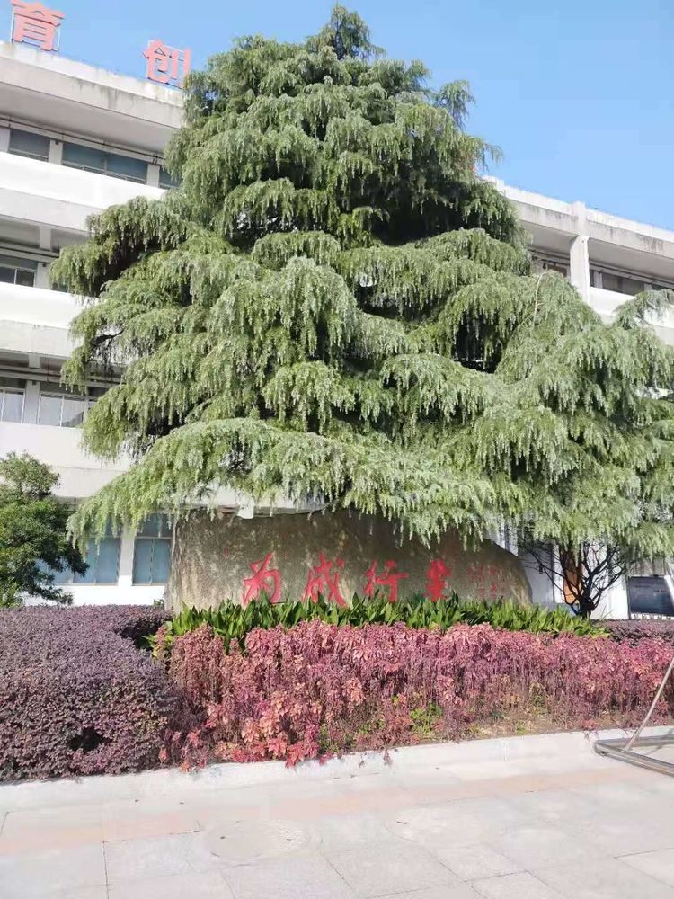  p>如皋初级中学位于 a target="_blank" href="/item/江苏/154268"