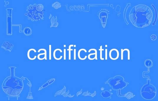 calcification（英语单词）_百度百科