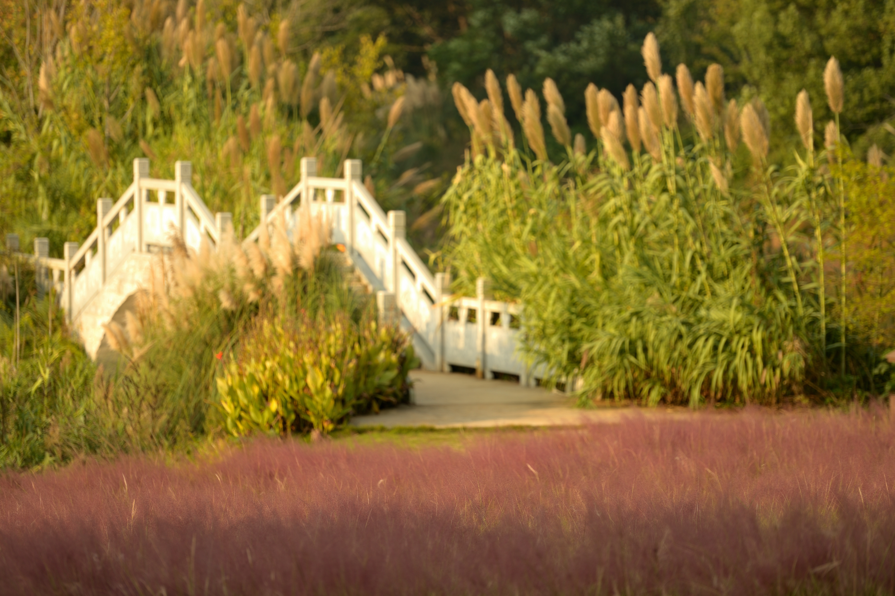  p>江西省凤凰沟原名 a target="_blank" href="/item/江西省凤凰沟