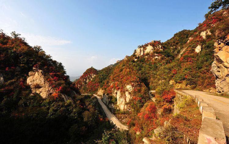  p>四棵树乡,隶属于河南省平顶山市鲁山县,地处 a target="_blank"