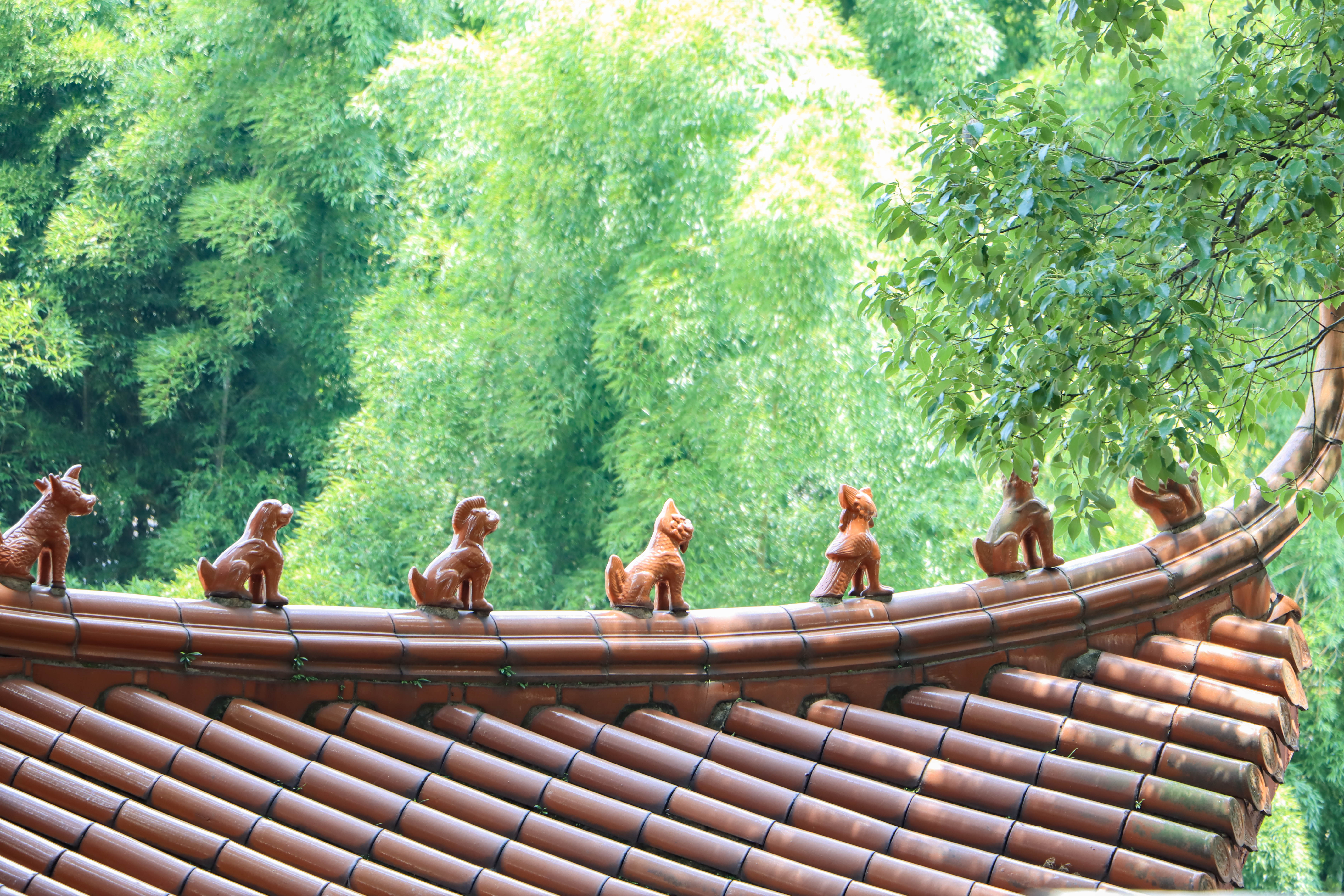 rx">地藏寺,浙江省 a target="_blank" href="/item/萧山市/6087443"