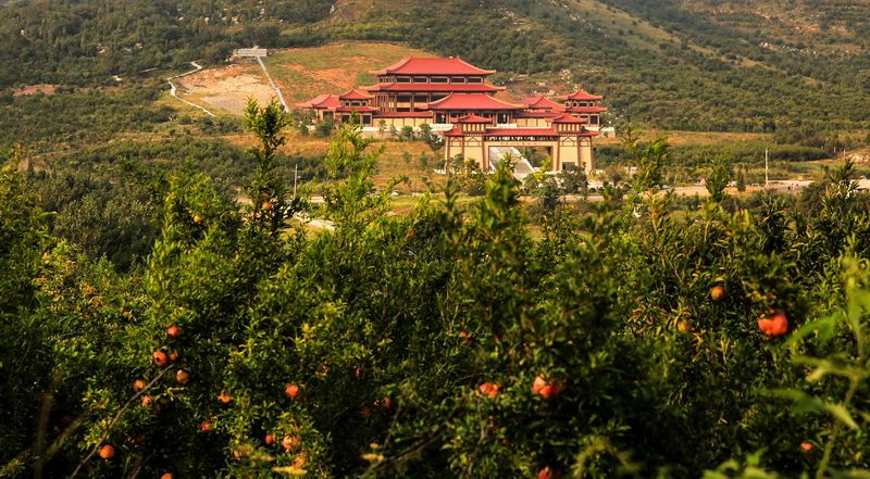 烈山短借 全网资源