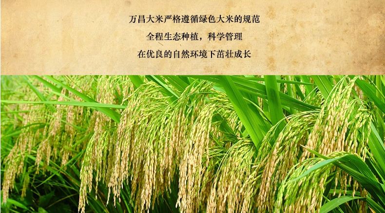  p>万昌大米,吉林省 a target="_blank" href="/item/吉林市/182763"