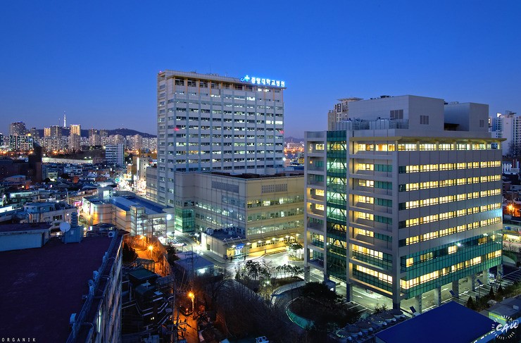  p>中央大学(               ,chung-ang university)是 a target="