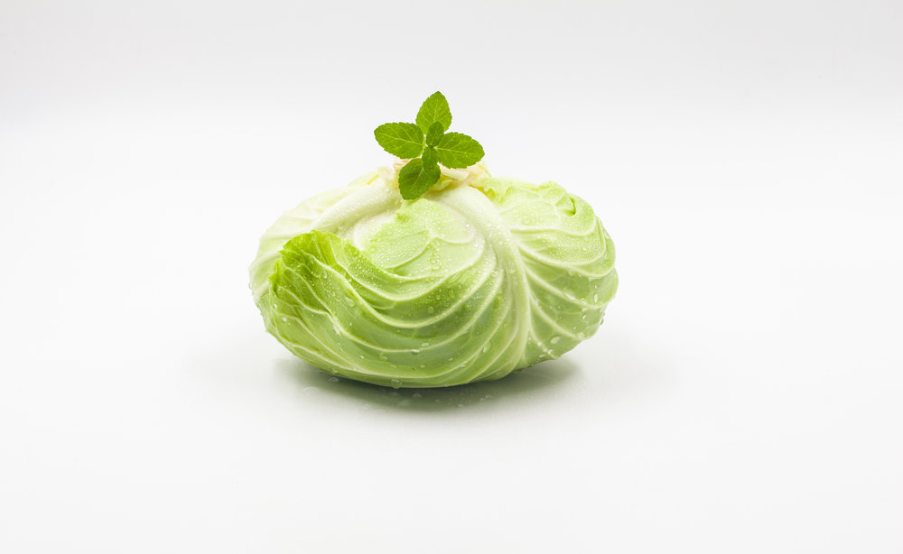  p>甘蓝( i>brassica oleracea  /i>l.