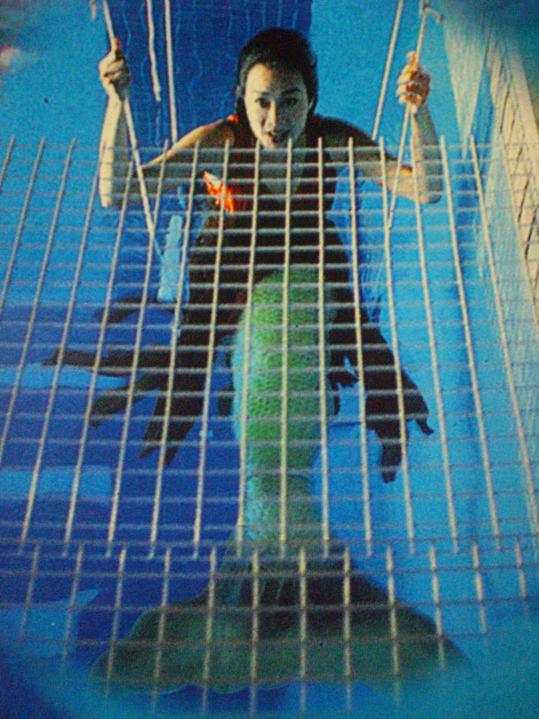  p>《人鱼传说》是罗文执导,郑伊健,钟丽缇主演的爱情奇幻电影.