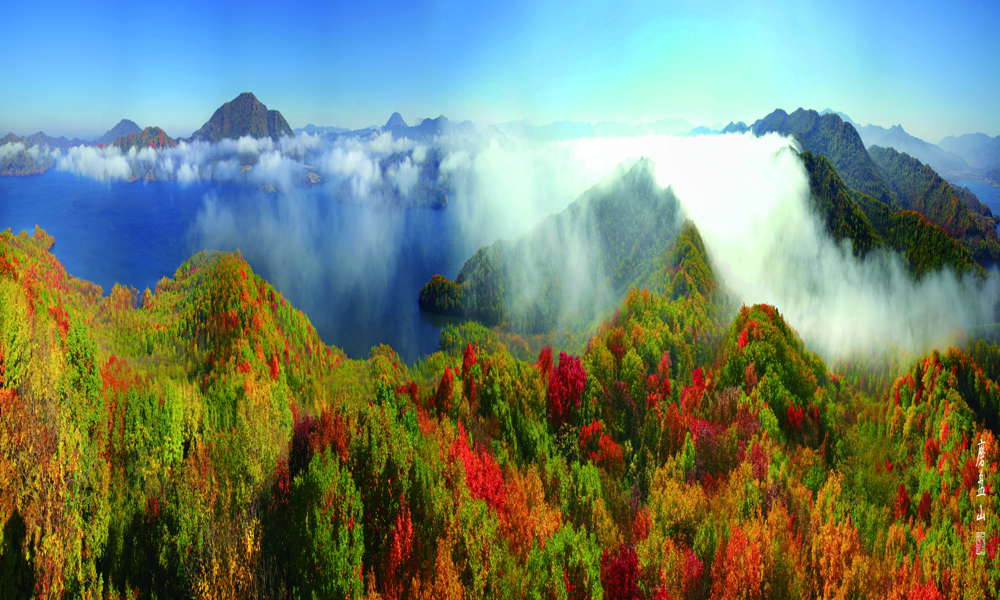 五常凤凰山森林公园