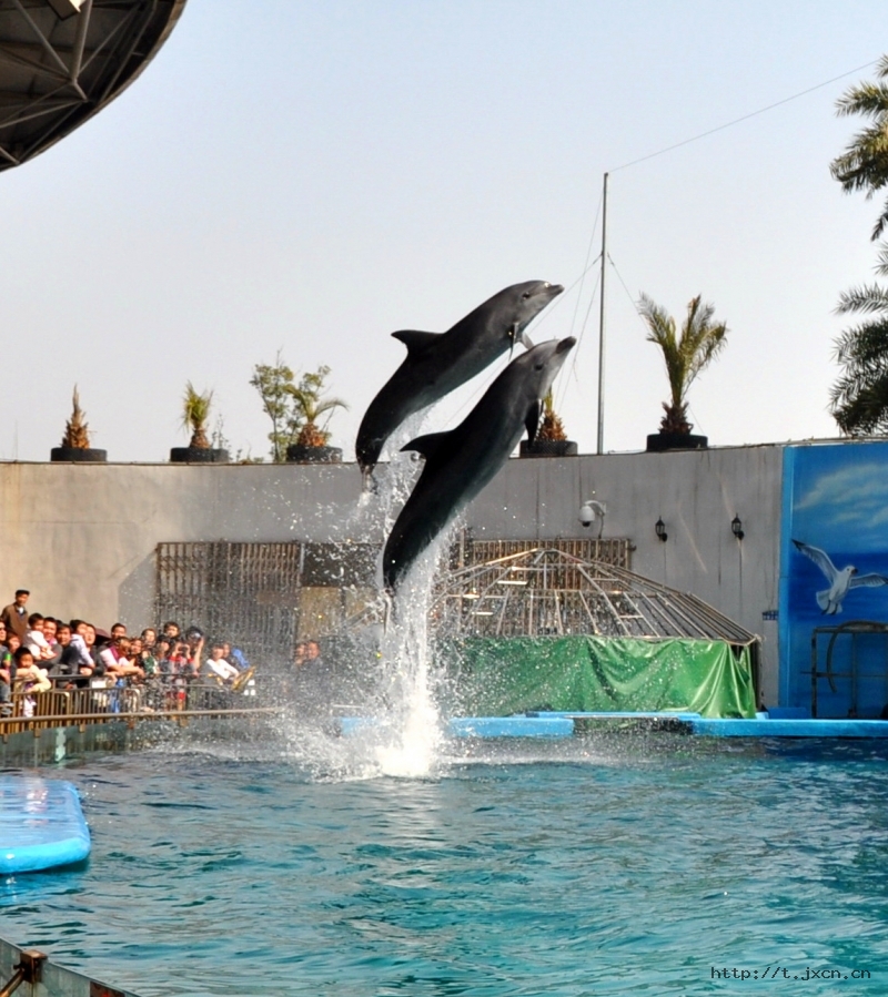  p>南昌新动物园位于南昌市西南方的桃花南路上,于2011年正式开放,始