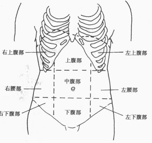 在腹部做9分法,分为左右 a target="_blank" href="/item/季肋区