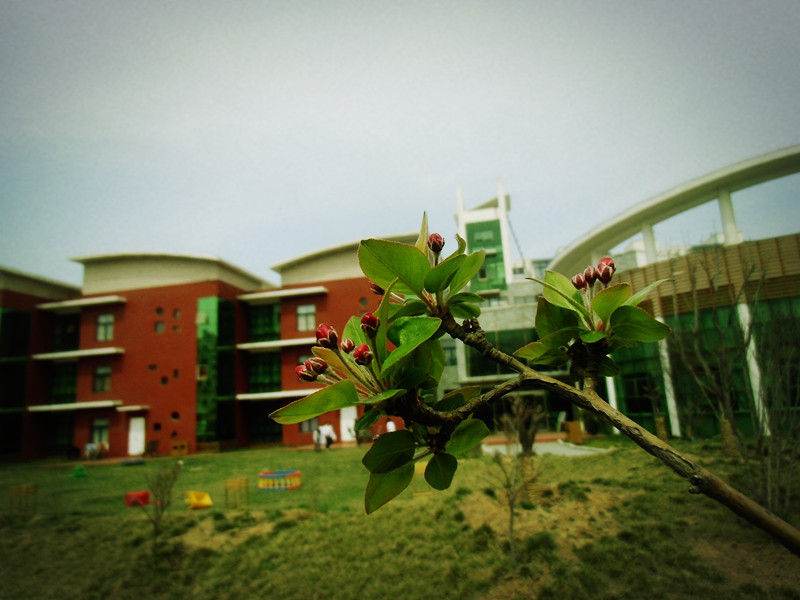 北京哈佛摇篮济宁国际幼儿园