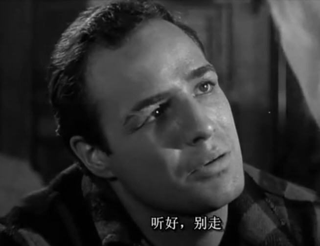 码头风云onthewaterfront(1954)