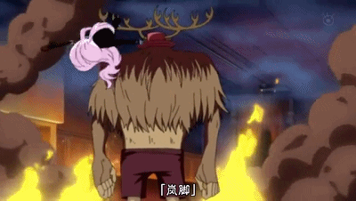  p>岚脚指的是动漫《 a href="#" data-lemmaid="8904">海贼王 /a>》