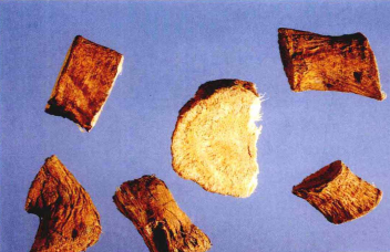  p>紫藤根,中药名.