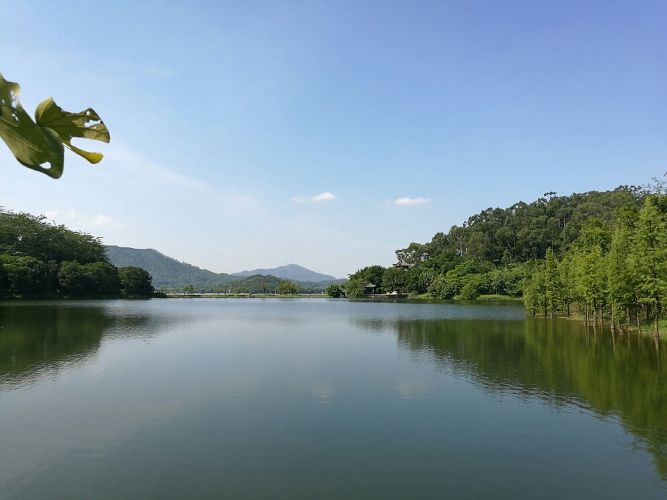  p>同沙生态公园位于 a href="#">东莞市 /a> a href="#" data-lemma