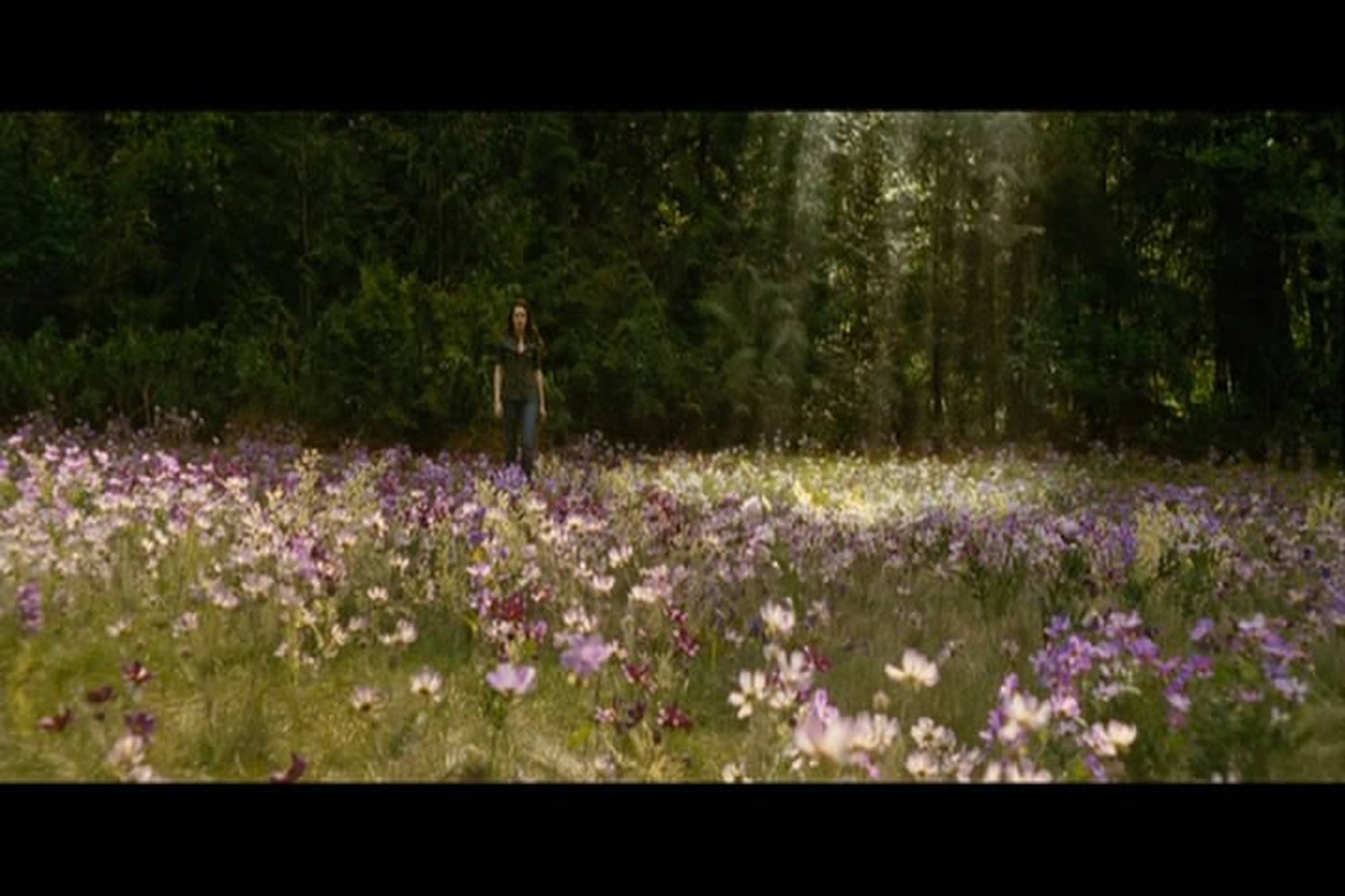 the twilight saga: new moon