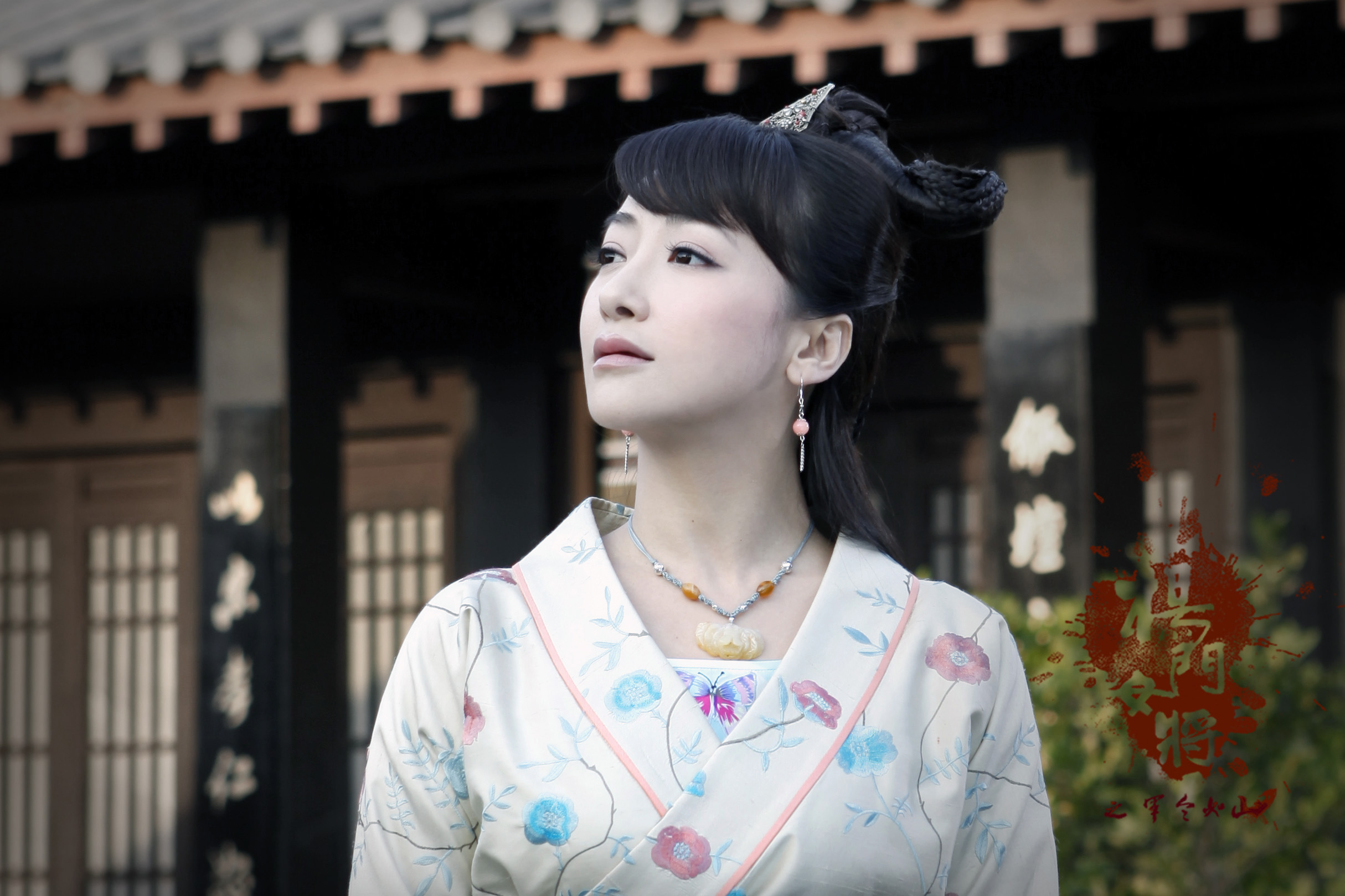 杨门女将军令如山