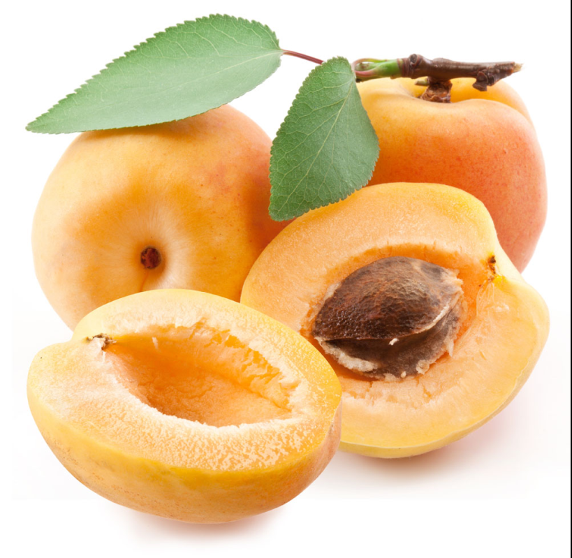  p>杏仁为 a target="_blank" href="/item/蔷薇科/1121901" data