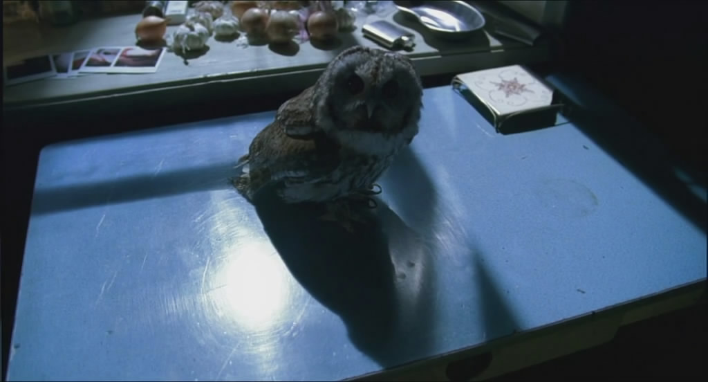 守夜人nightwatch(2004)