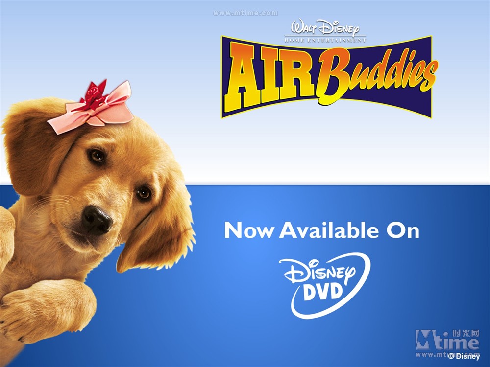 系列电影,神犬 buddy和他的伴侣molly ,还有