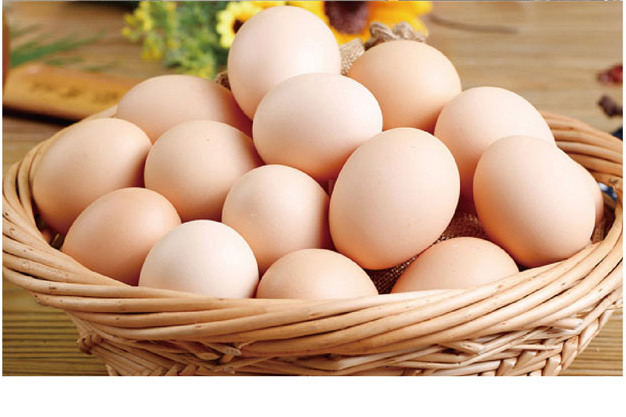  p>芦花鸡蛋芦花鸡下的蛋,含有丰富的dha和卵磷脂等,对神经系统和身体