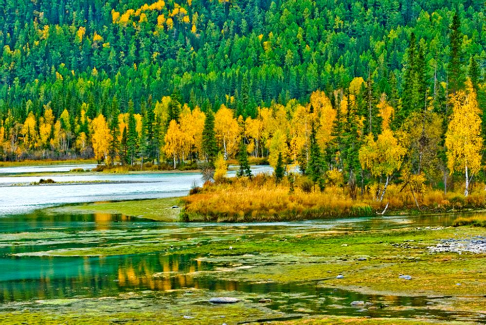 新疆喀纳斯景区