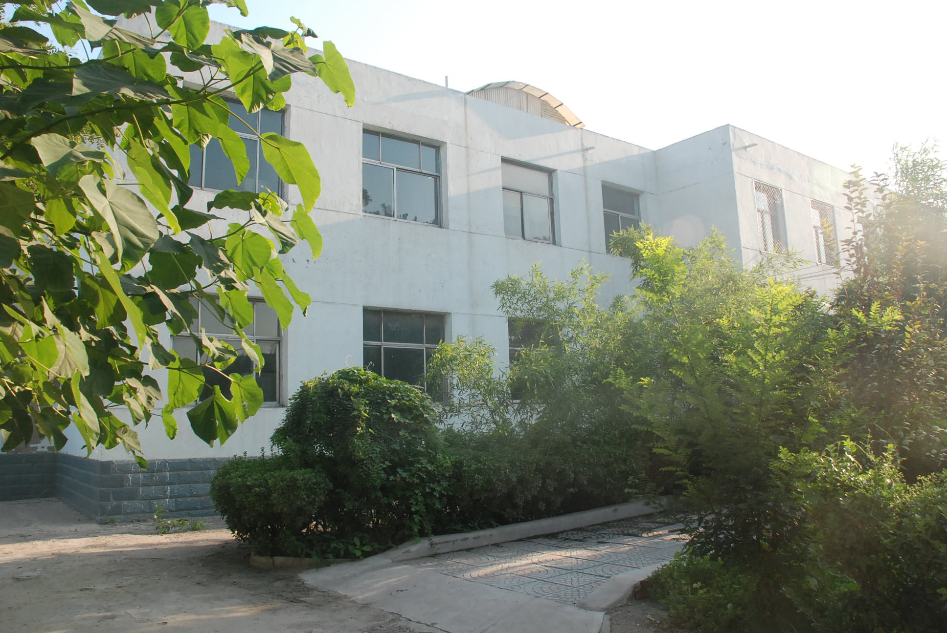 邢台市追光中学